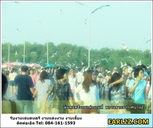 วงดนตรี_งานแต่งสถานตากอากาศบางปู _9